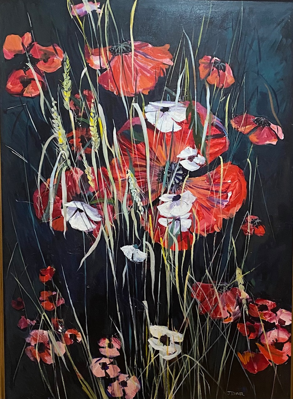 Red and white poppies in bloom against a black background with wild grasses growing inbetween.
