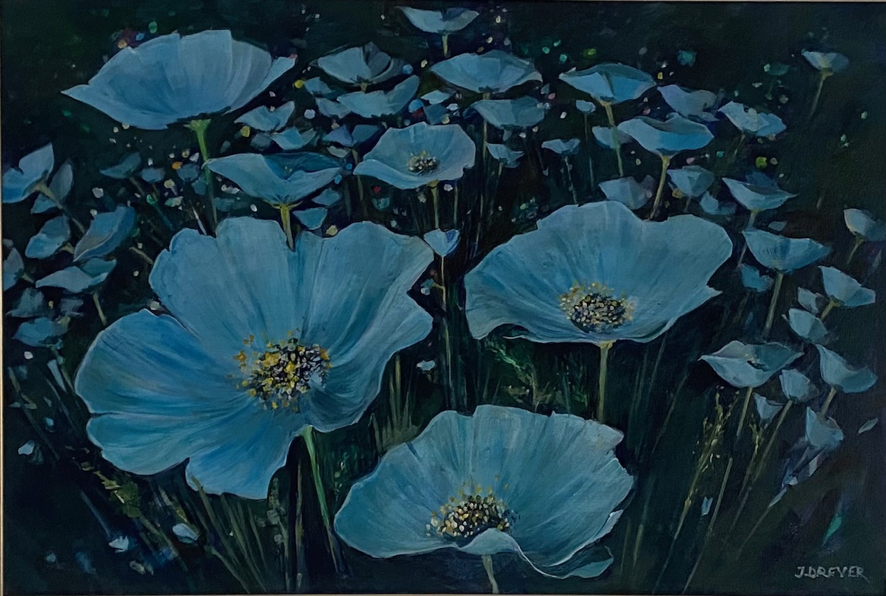 Blue Poppies on black background.